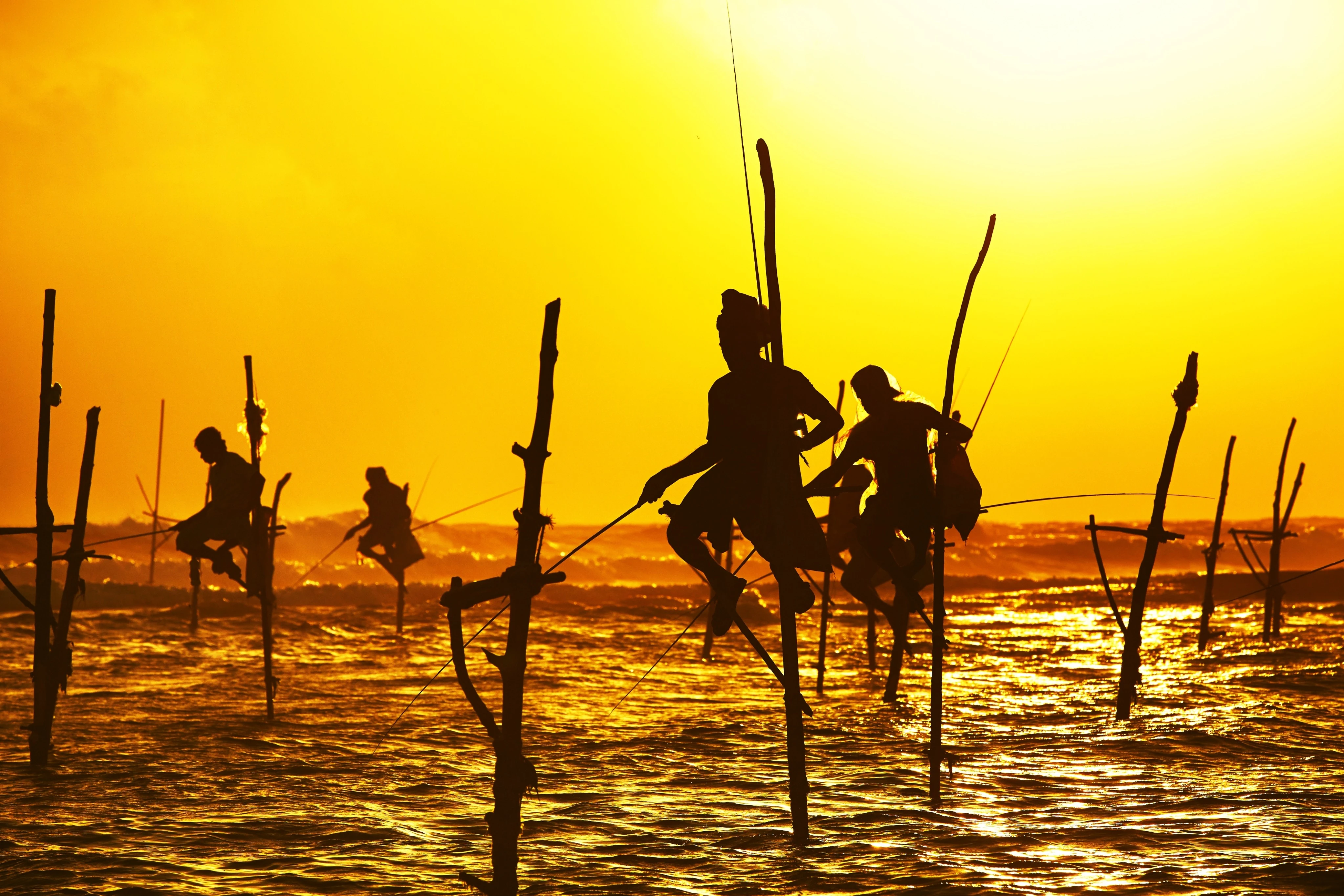 Stilt Fishing in Lanka