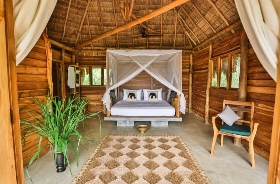Bespoke Luxury Tours