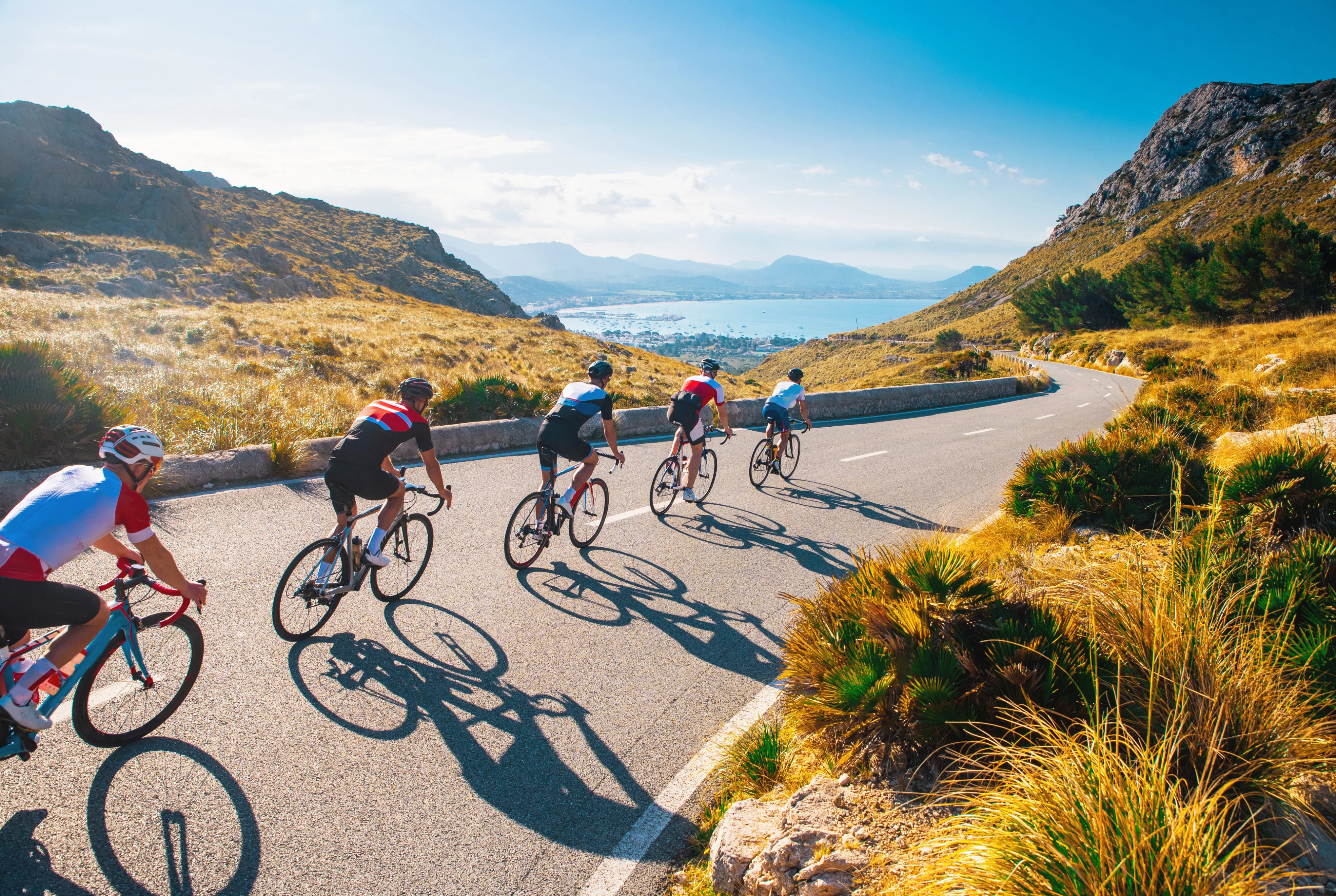 Cycling Group Tour
