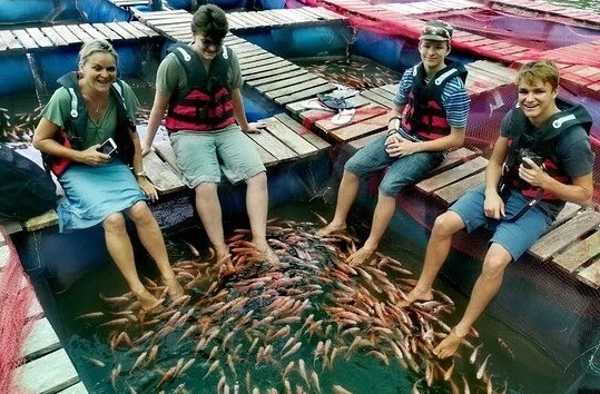 Fish Spa in Bentota