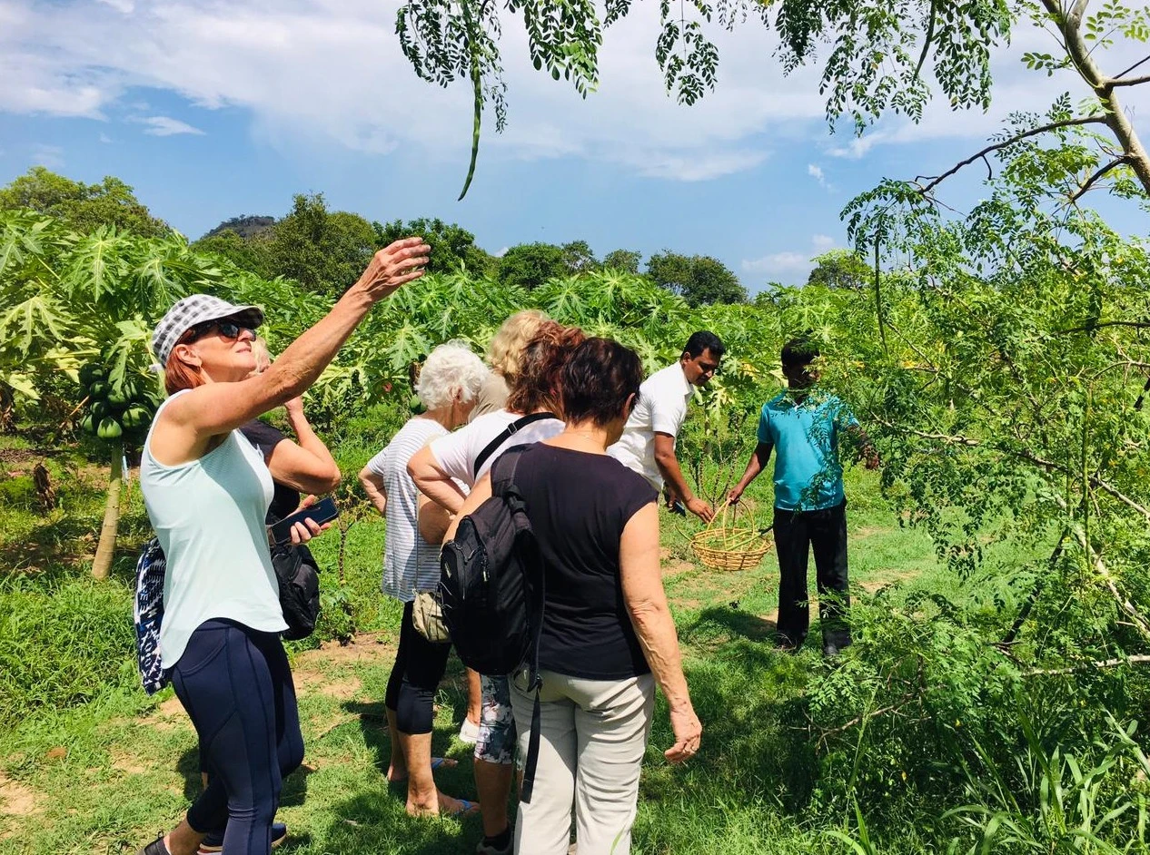 Farm Tour