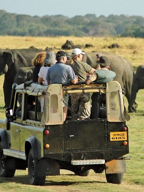 Sri Lanka Wildlife Holiday Packages