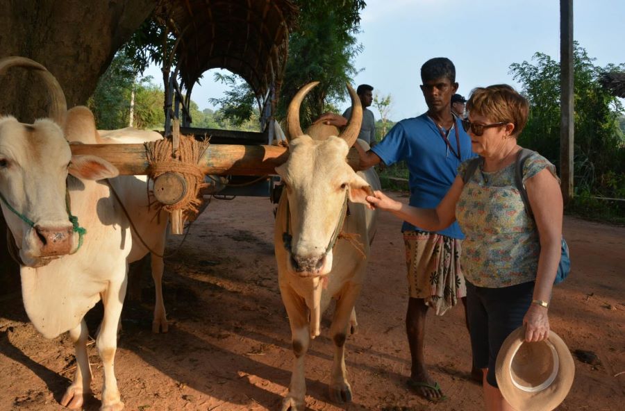 Sri Lanka Farm Tour