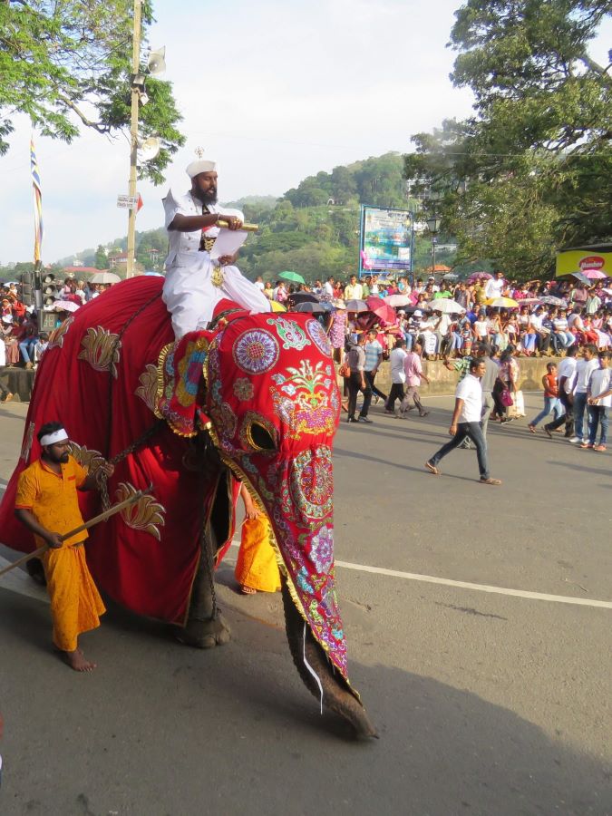 Sri Lanka Fair & Festival Tours